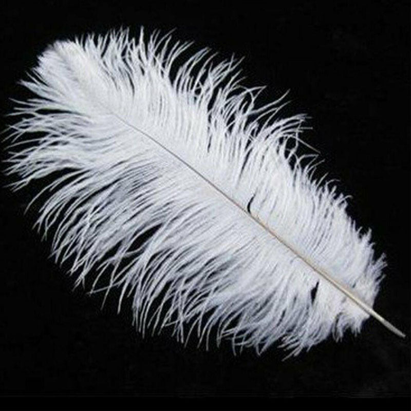 10PCS- White Ostrich Feather DIY Crafts Wedding Party  Decoration