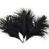 10PCS- 12 Colors Ostrich Feather DIY Crafts Feathers Wedding Party Decoration