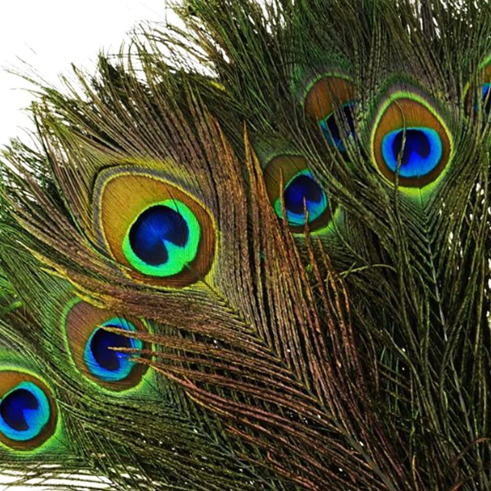 10PCS Natural Peacock Tail Eyes Feathers