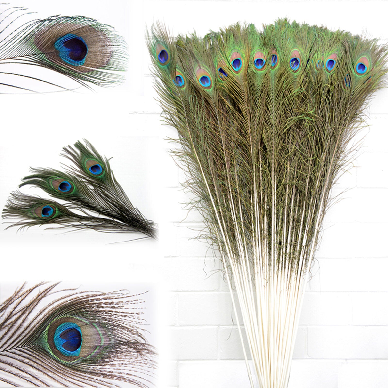 10PCS Natural Peacock Tail Eyes Feathers