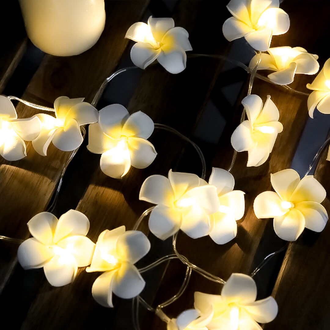 10M 100 Bulb White Frangipani LED Fairy Light Wedding Deck party