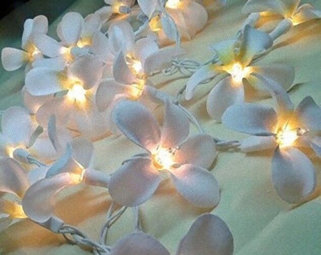 10M 100 Bulb White Frangipani LED Fairy Light Wedding Deck party