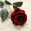 10PCS 51cm Long Stem Artificial Rose Flowers Silk