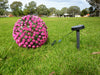 28CM DIAMETER 20 LED WARM WHITE PINK ROSE SOLAR TOPIARY BALL