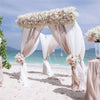 Outdoor Wedding Canopy Arch Flower Backdrop Stand