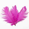 10PCS- 12 Colors Ostrich Feather DIY Crafts Feathers Wedding Party Decoration