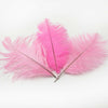 10PCS- 12 Colors Ostrich Feather DIY Crafts Feathers Wedding Party Decoration