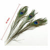 10PCS Natural Peacock Tail Eyes Feathers